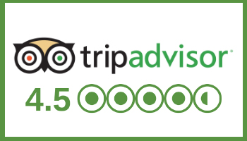 tripadvisor